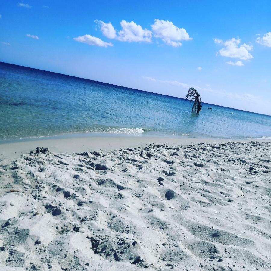 L'Hirondelle De Kelibia : Chez Amou Hotell Exteriör bild