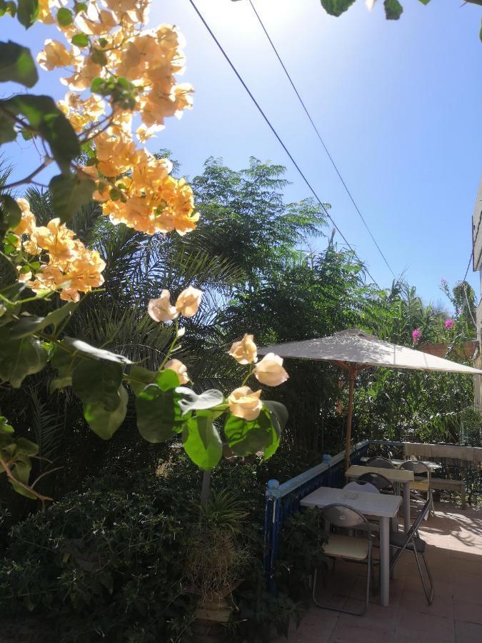 L'Hirondelle De Kelibia : Chez Amou Hotell Exteriör bild