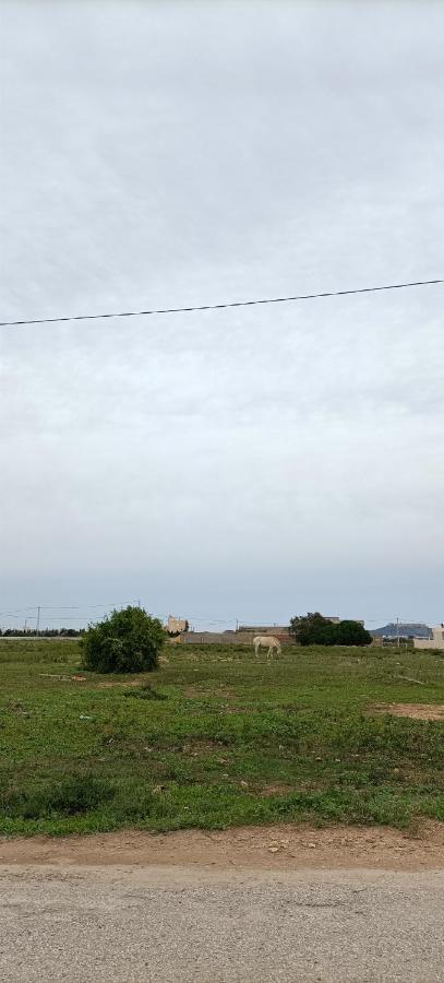 L'Hirondelle De Kelibia : Chez Amou Hotell Exteriör bild