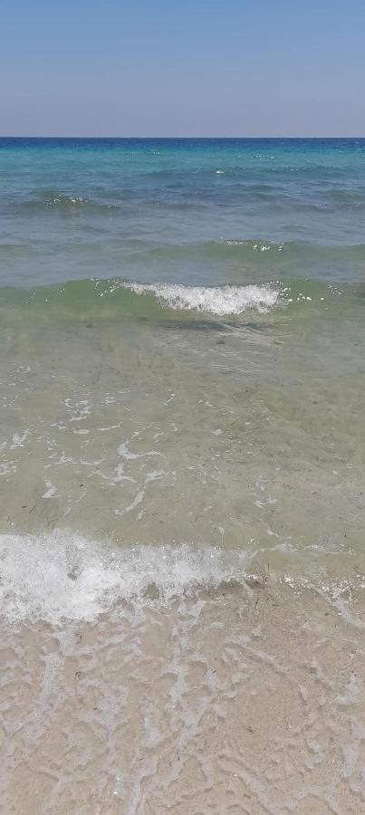L'Hirondelle De Kelibia : Chez Amou Hotell Exteriör bild