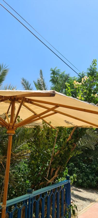 L'Hirondelle De Kelibia : Chez Amou Hotell Exteriör bild